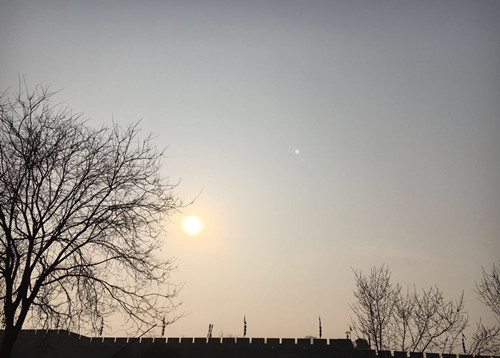 老樹(shù)·城墻·夕陽(yáng)