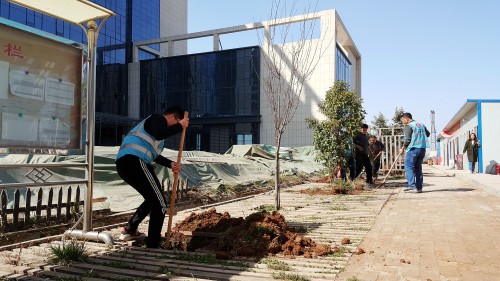 陜煤建設(shè)澄合分公司基層單位開展“植樹護綠，美麗家園”義務(wù)植樹活動