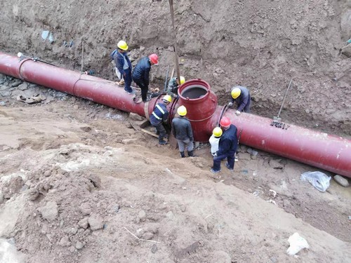 追趕超越，一場“快”字運動轟轟烈烈