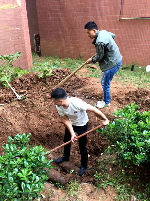 陜煤建設公司：江南世紀城小區(qū)為業(yè)主創(chuàng)建衛(wèi)生文明環(huán)境