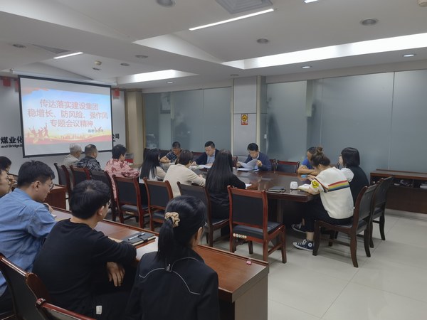 陜煤建設(shè)各單位傳達(dá)落實(shí)建設(shè)集團(tuán)穩(wěn)增長、防風(fēng)險、強(qiáng)作風(fēng)工作部署會議精神