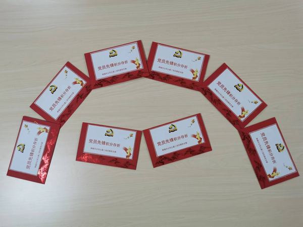 “黨員先鋒”的播種、開花與結(jié)果