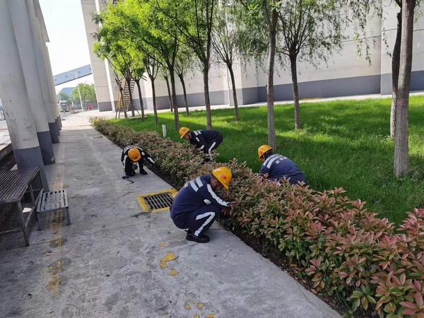 陜煤建設(shè)洗選煤運(yùn)營(yíng)公司神渭蒲城運(yùn)營(yíng)項(xiàng)目部：逐”綠”而行 向”綠”而興！廠區(qū)綠化在行動(dòng)