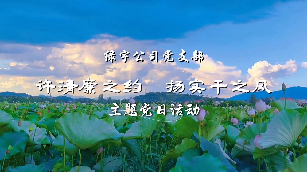 許清廉之約  揚實干之風(fēng)——綠宇公司黨支部主題黨日活動