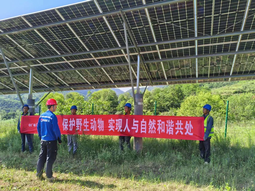 陜煤建設西北分公司機電安裝項目部：為野生動物撐起“生態(tài)保護傘”