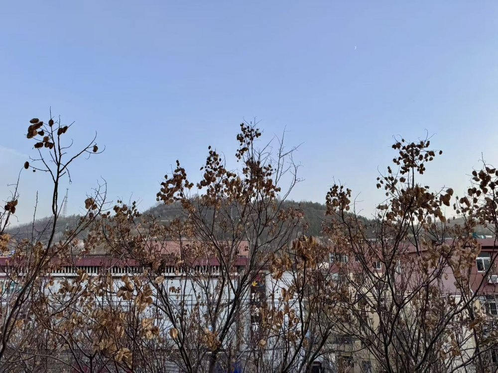 秋意漸濃時，回望來時路