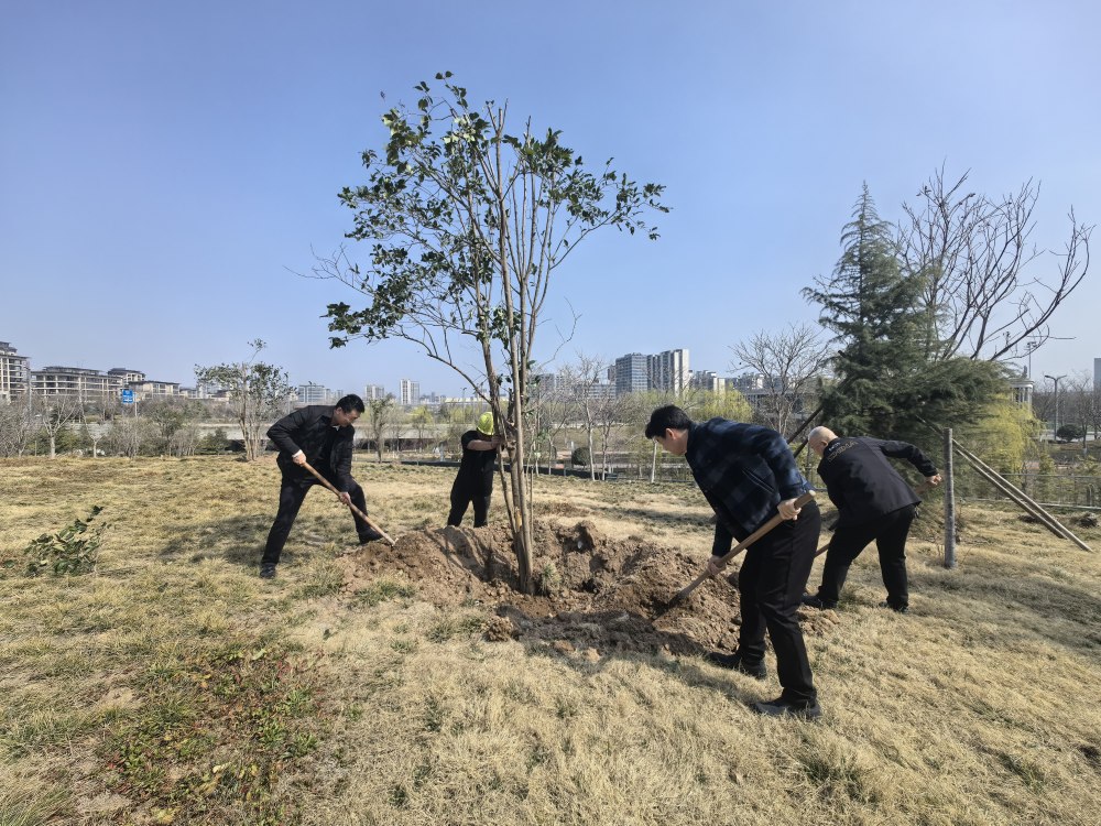 空港添新綠    生態(tài)向未來
